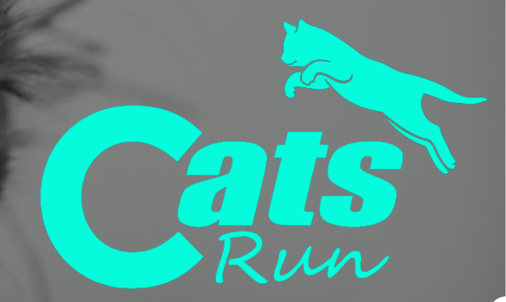 CATS RUN ES 2026